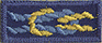 Cub Scouter