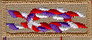 Eagle Scout