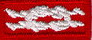 Order of the Arrow Distinguished Service